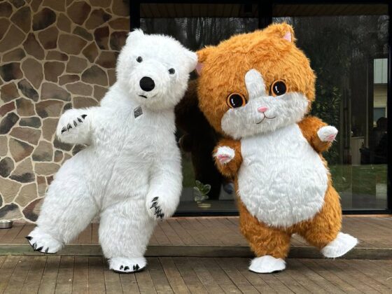 Photo of listed item