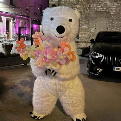 Photo of listed item